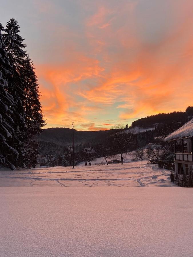 Nikolaierhaus Appartement Feldkirchen in Kärnten Buitenkant foto